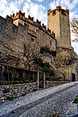 Fra gli Ulivi del Garda - Il castello di Malcesine.